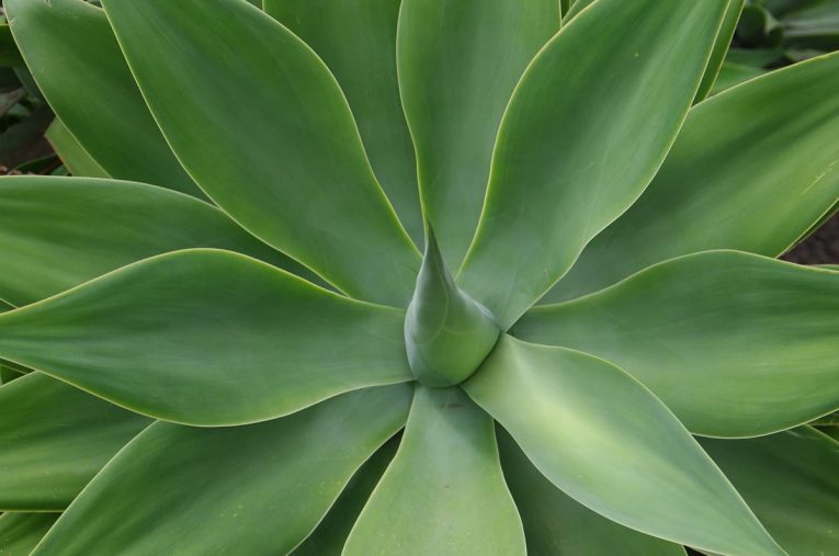 BO Studio WordPress Theme